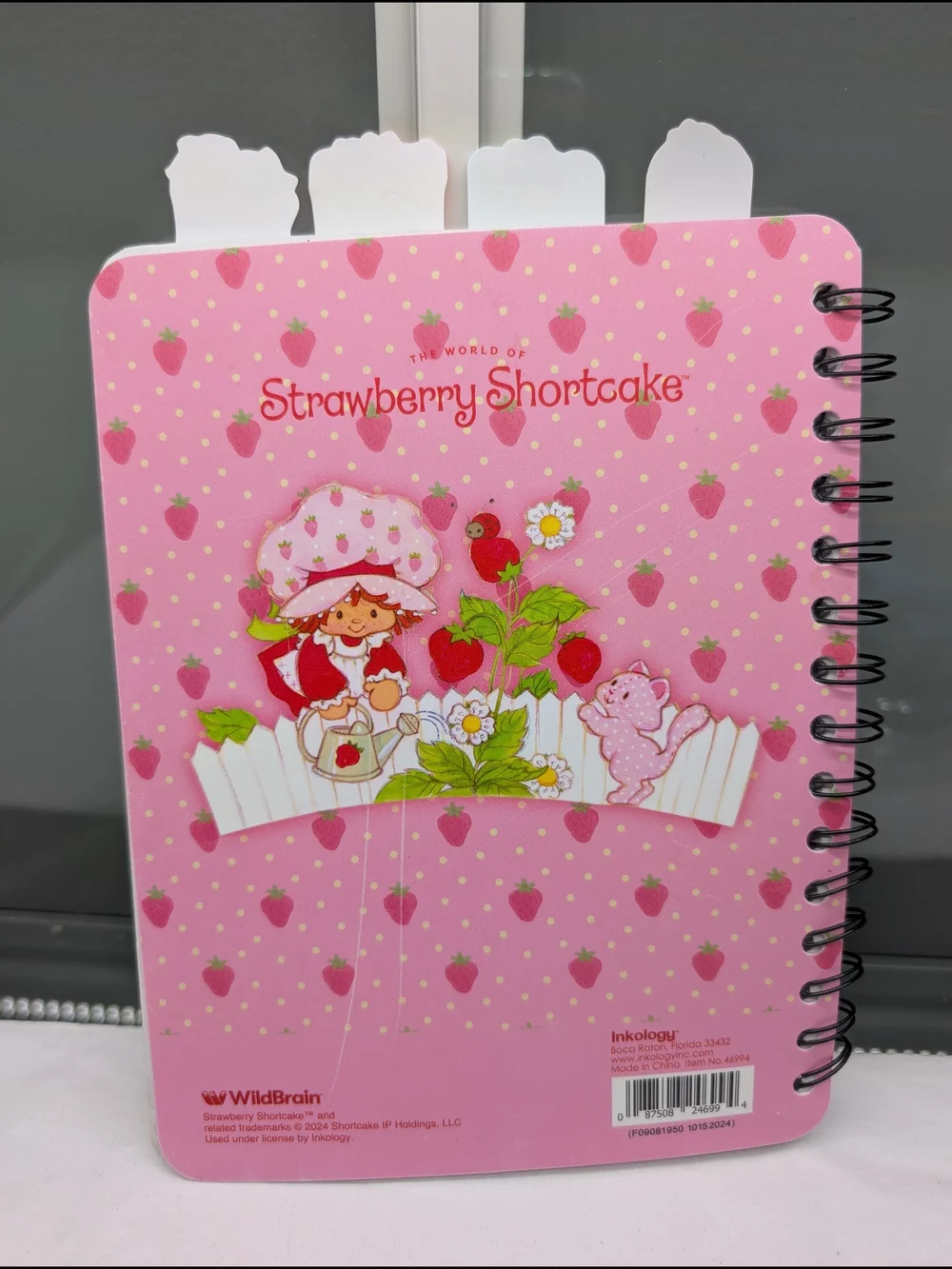 Strawberry Shortcake & Stitch Spiral Notebooks - Pink & Blue